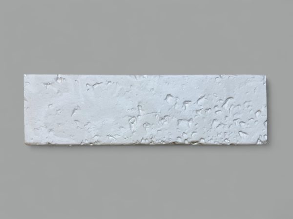 home img 0509 photoroom